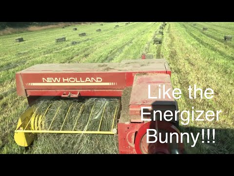 Raking and Baling Some AWESOME Straight Orchard Grass-A Little Easier Baling Than Yesterday!