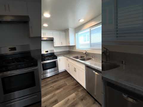 Moody-8711 - Video 2 of 2