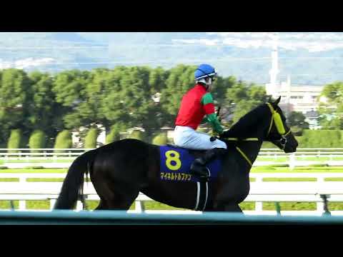 2022.10.23　阪神11R　菊花賞　馬場入場