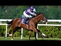 ITALY Makes Exciting Debut For Aidan O Brien At Leopardstown Racing TV