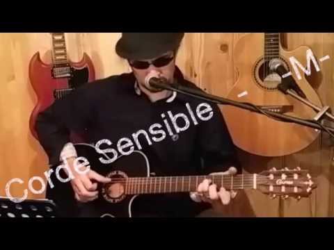 La Corde Sensible -M-  Guitar Cover