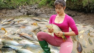 Greatest Fishing Video, Harvest Many Fish In The Pond And Goes To Market Sell #fishing