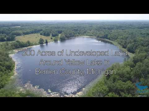300 Acres of Undeveloped Land Around Yellow Lake in Berrien County, Michigan