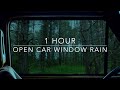 Open Car Window Rain Rain On Car Forest Rain 1 Hour Rain Sounds For Sleeping