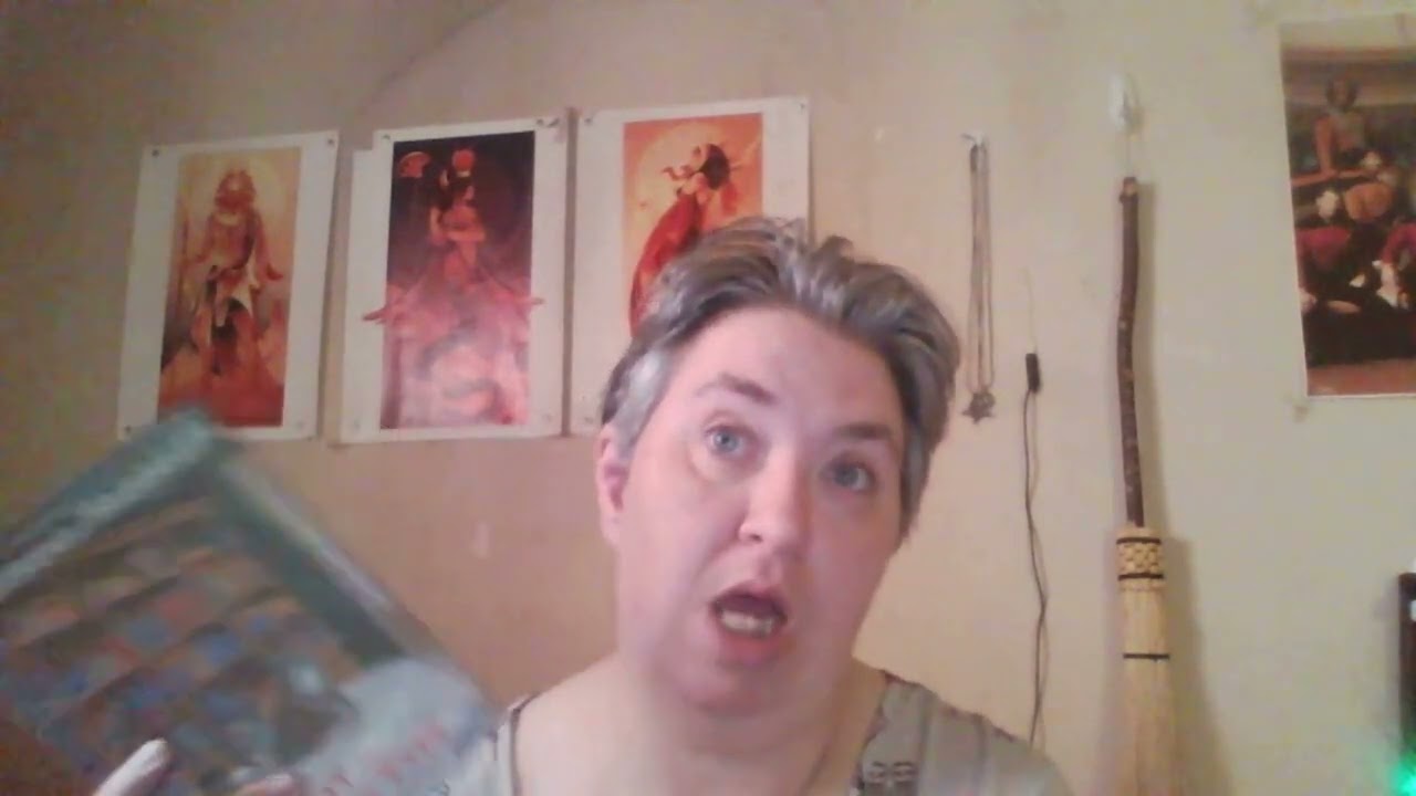 (964) Here's the Next Library Book that I'm Reading