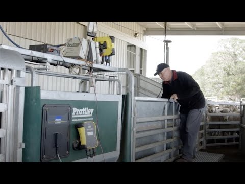 Tru-Test, EID made easy