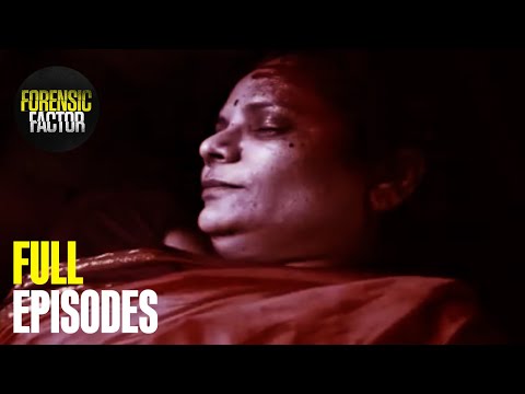 The Most Unhinged Police Cases | Binge Brutal True Crime Stories | Season 5 Marathon (All Episodes)