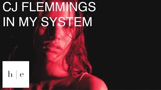 CJ Flemings - In My System