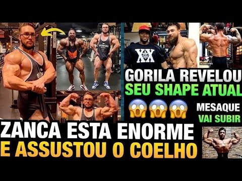 ZANCA GIGANTE E NA FIBRA ASSUSTOU LUCAS COELHO - GORILA REVELA SHAPE -- MESAQUE VAI COMPETIR E MAIS