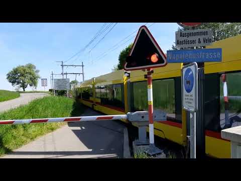 Tram der BLT Tango Linie 10/Beim Bahnübergang Napoléonstrasse Ausfahrt Station Flüh Mariastein BL