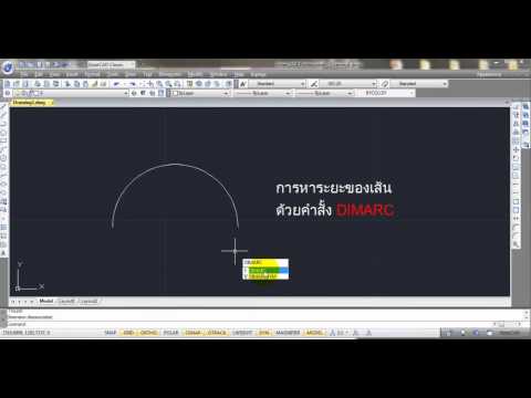สาวตื่นเต้นชายคนหนึ่ง การใช้แรงของงา