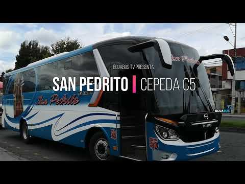 Cepeda C5 / San Pedrito N.55 / Hino AK
