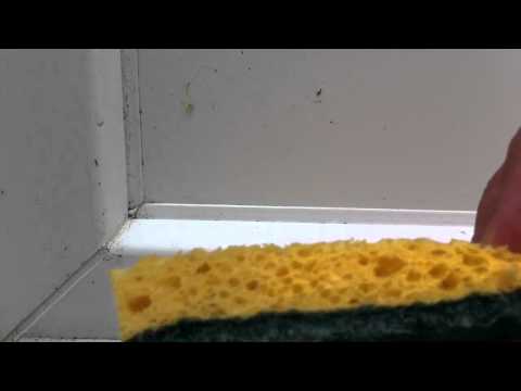 comment nettoyer ouvertures pvc