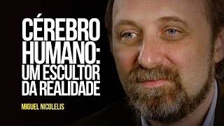 Cérebro humano: um escultor da realidade