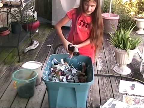 A Worm Bin Made with Shredded Newspaper