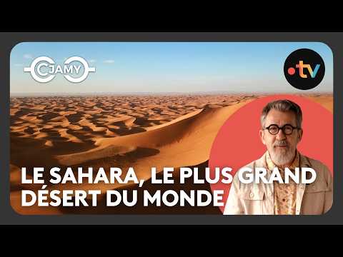 Le Monde De Jamy - France Télévisions and C'est pas sorcier