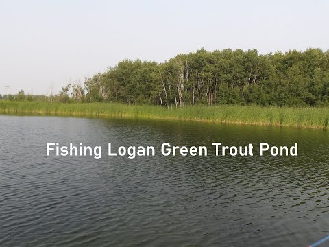 Fishing Logan Green Trout Pond