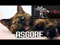 Undertale - Asgore with a cat + Bergentrückung Intro 😸