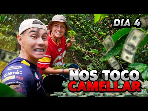 VUELTA A COLOMBIA capítulo 4, Oro amarillo