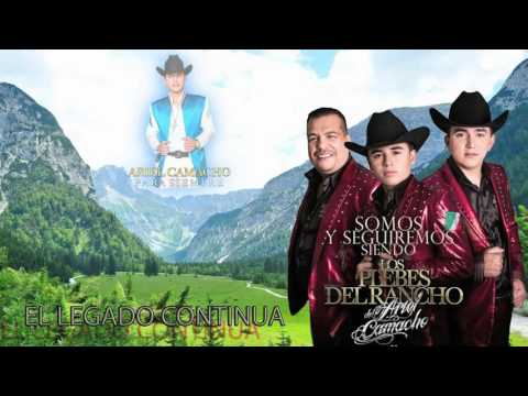 El 011 video
