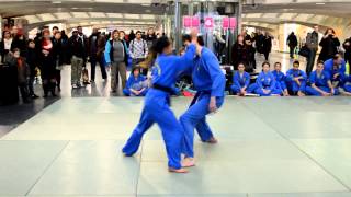 preview picture of video 'Vovinam Viet Vo Dao - Démonstration a la gare Liège Guillemin journée de la femme 2013'