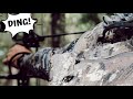 3D Shoot Rome, GA. | IRON CROSS DING