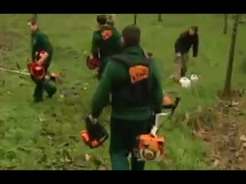 Una escuela que cambia la vida de muchas personas