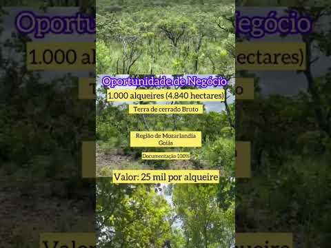 1.000 Alqueires em Mozarlândia Go / whatsapp 62 99373-6407