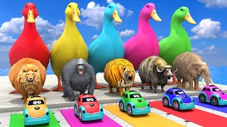 Download lagu Long Slide Game With Cow Elephant Gorilla Hippopotamus Tiger - 3d Animal Game - Funny 3d Animals mp3