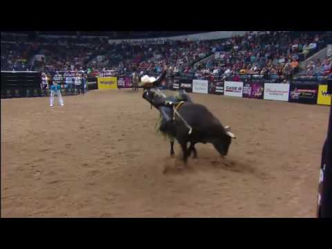 Reese Cates takes Open Season to 83 points (PBR)