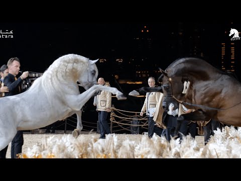 KIAHF 2023 Title Show - The Big Day has come