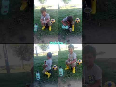 Mercedes  corrientes  pora