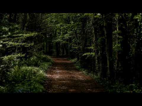 RNWO ft. bLACKY - NIEWAZNE