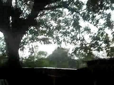 Grindina in Plescuta