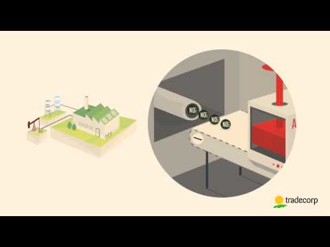 Delfan Plus mówi językiem roślin (PL)