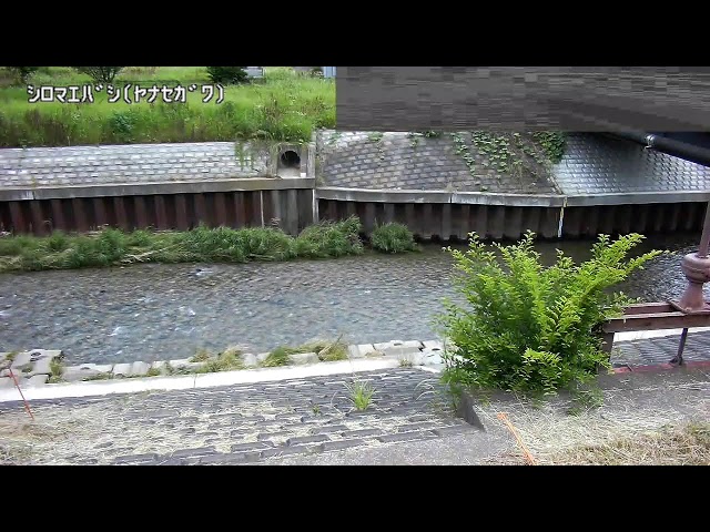 城前橋映像監視局