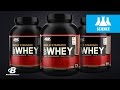 Optimum Nutrition Gold Standard Whey | Science-Based Overview