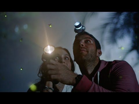 Jeep Luz - Cucubano - Full version