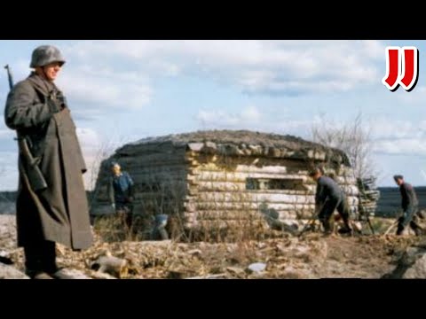 Germany's WW2 Log Forts and Bunkers