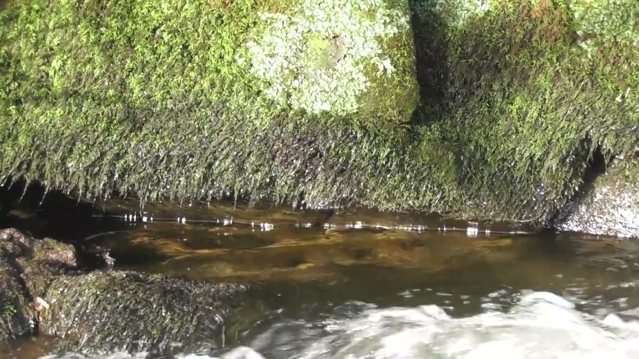  Sunlight on water