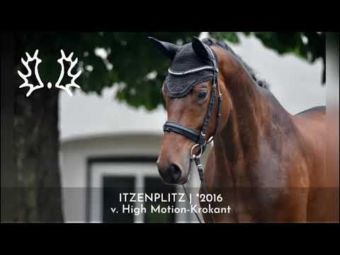 Itzenplitz von High Motion