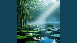 Download lagu Tepa Slira mp3