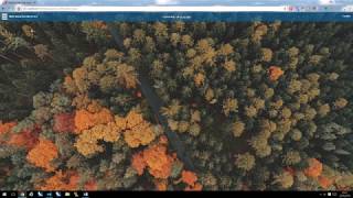 Adding Aligned Assets SinglePoint Web Service to SIS WebMap