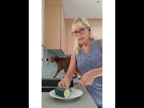 Crystal the Pet Nanny. LLC video.