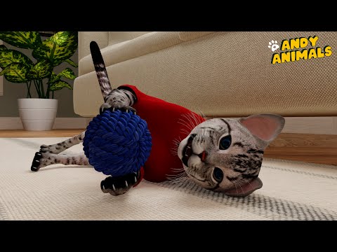 Funny Cats - Andy Animals