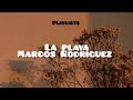 La playa - Marcos Rodríguez letra