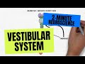 2 Minute Neuroscience Vestibular System