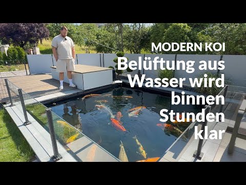 Bennys Teich: Algenflusen verschwinden durch Strömungsstopp | Modern Koi Blog #7827