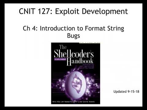 CNIT 127: 4: Format string bugs