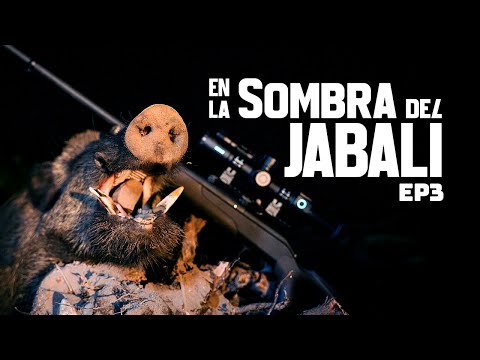 Ep. 3 Nighttime wild boar hunting in Spain. Night Hunting with PARD